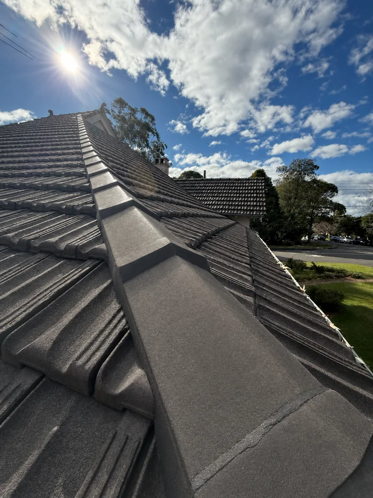 Matching after view of the same concrete tile roof, showing a cleaner surface and neatly finished ridge caps